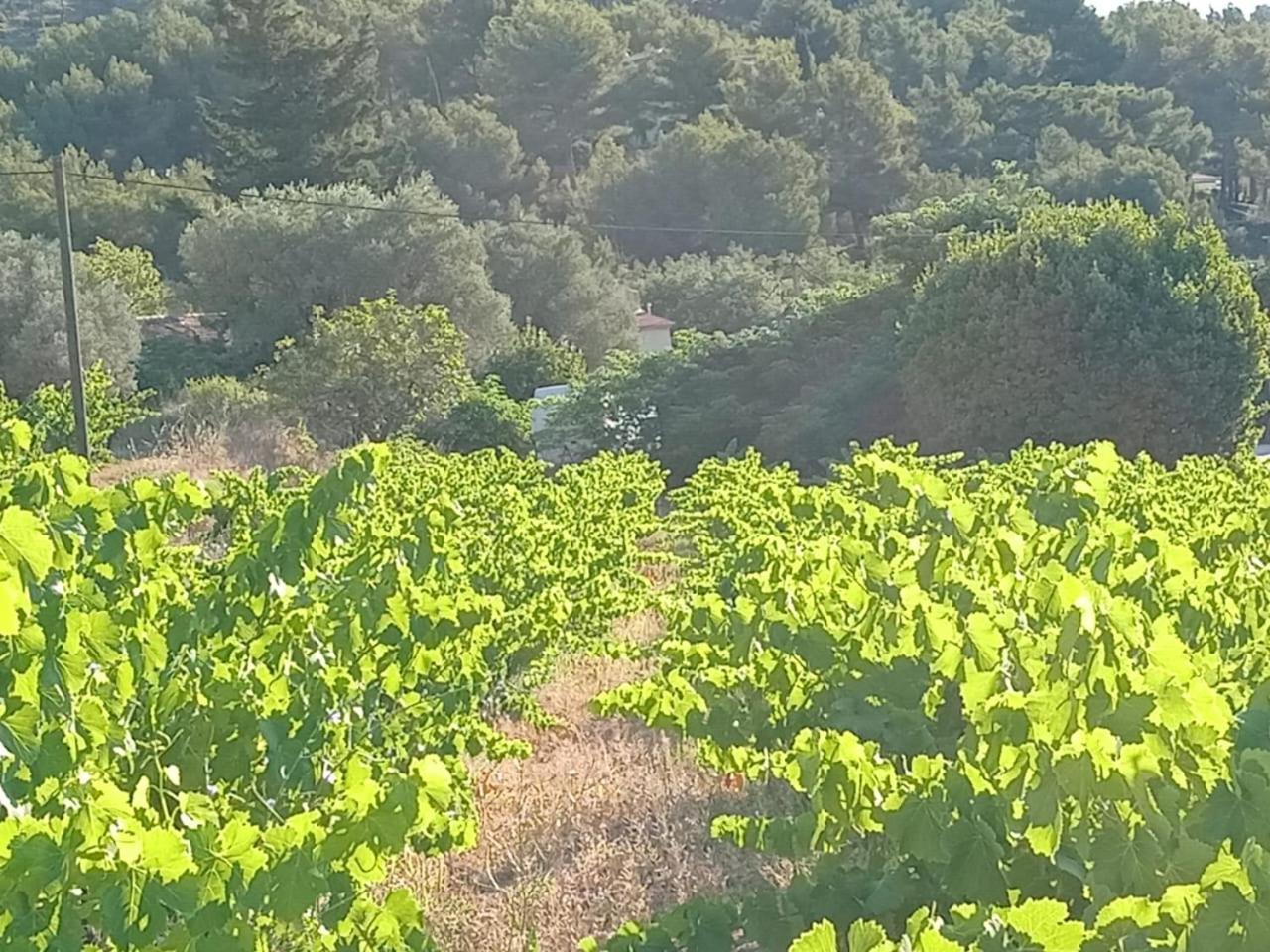 Maison A La Naronne * Bandol